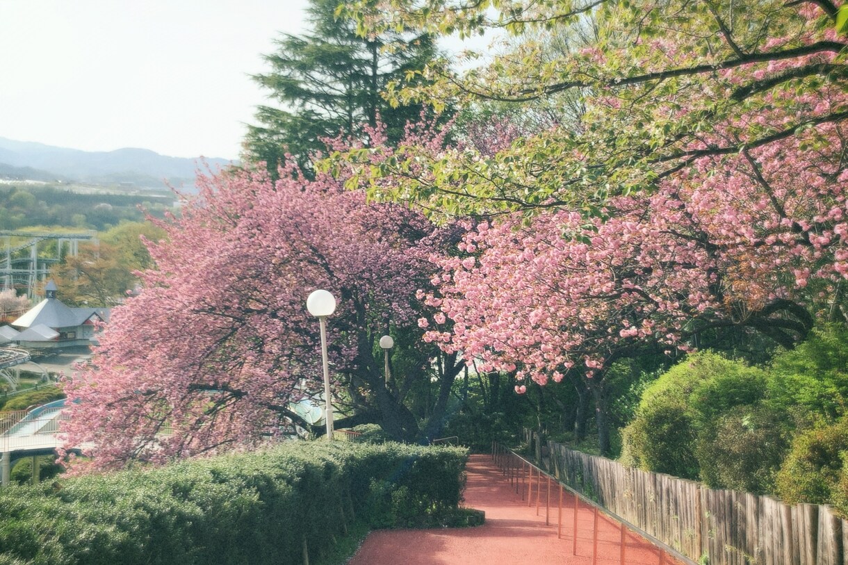 恋愛相談なんでも聞きます どんな悩みでもとりま話してみませんか？ イメージ1
