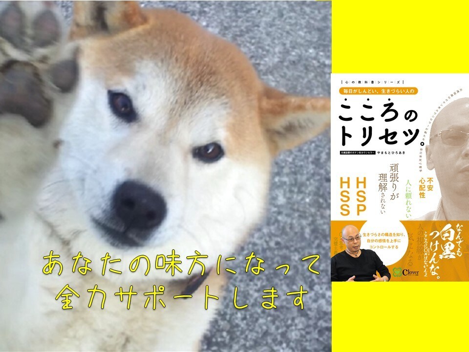ひとりで悩みを抱え込まないで。君の心を楽にします 子ども、親、夫婦、恋人、友人仲間などの人間関係のお悩み相談 イメージ10