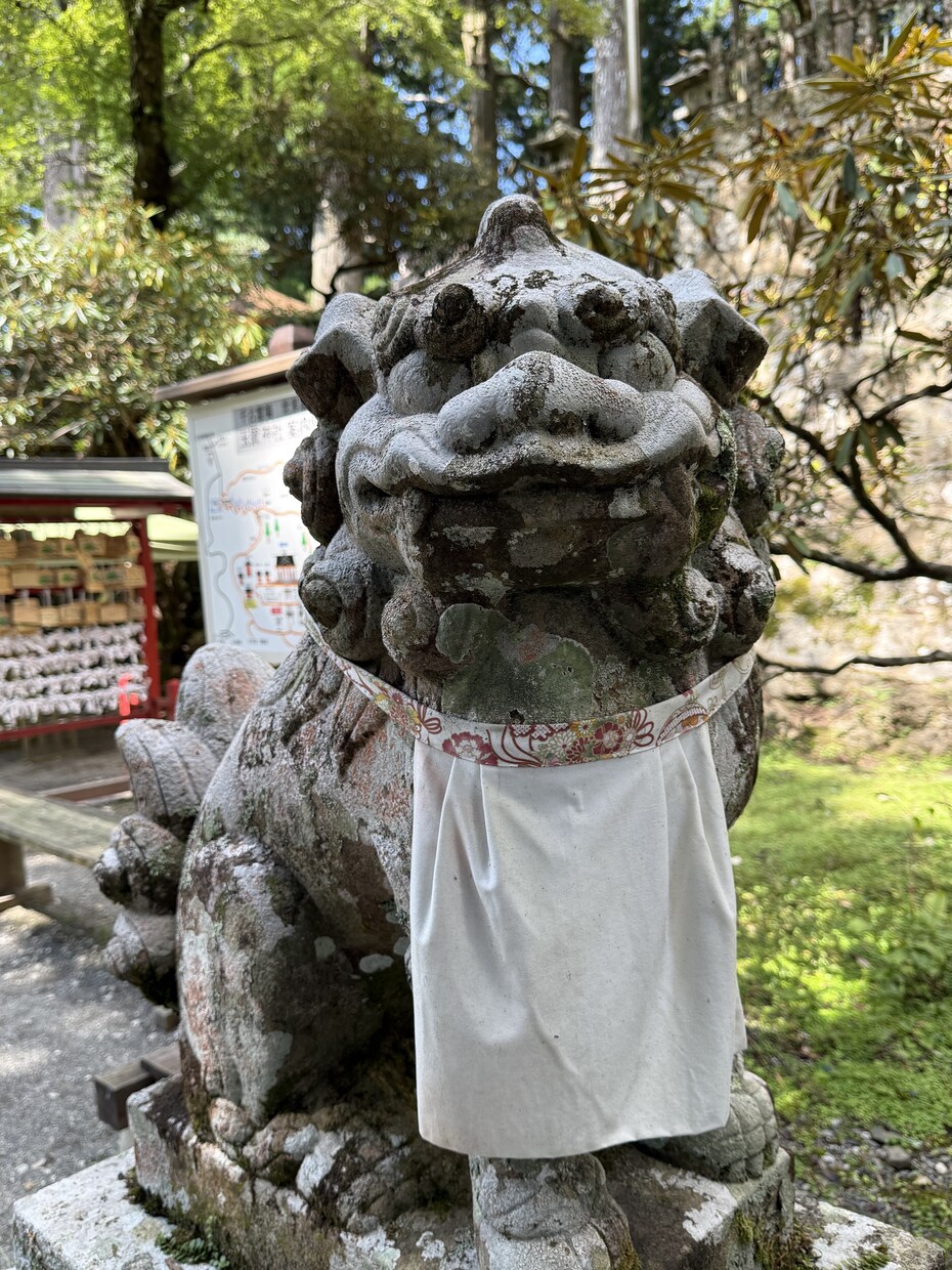 聖地・玉置神社の神域より遠隔靈氣を届けます 現代霊気と独自ワークによる遠隔ヒーリングを提供します。 イメージ5