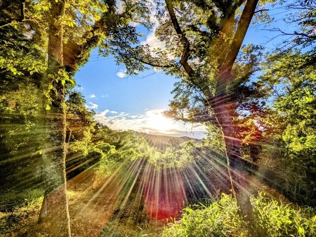 朝の習慣化手伝います 三日坊主とは呼ばせない！朝の時間を有効活用しませんか？ イメージ5