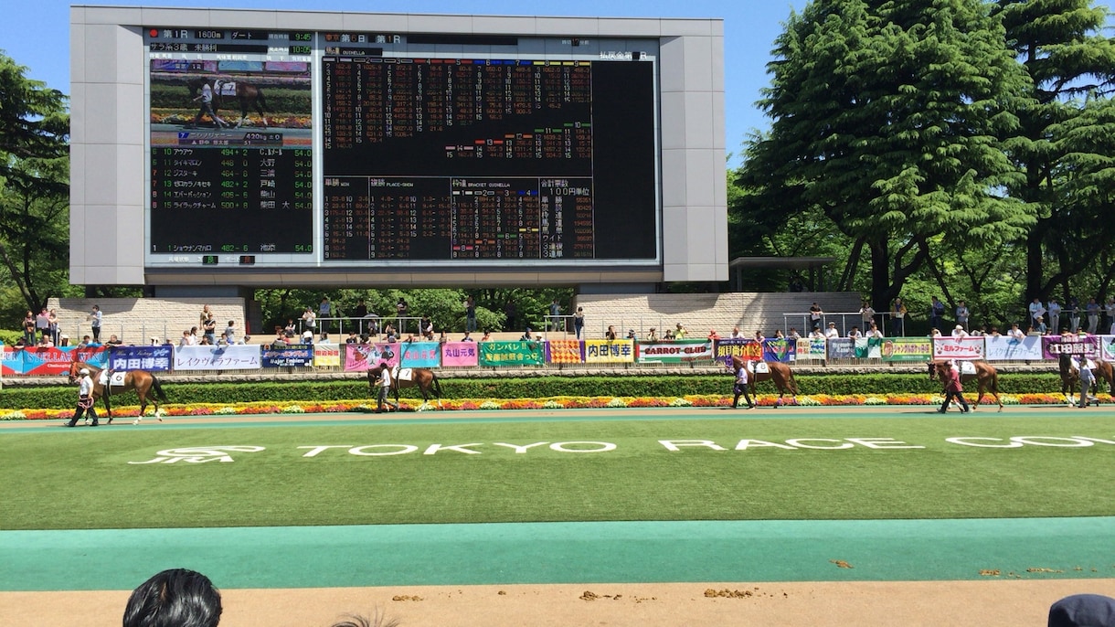 初心者必見！盛岡クラスターCの軸馬教えます データ馬券、血統、ワイド馬券で楽しく競馬観戦！ イメージ1