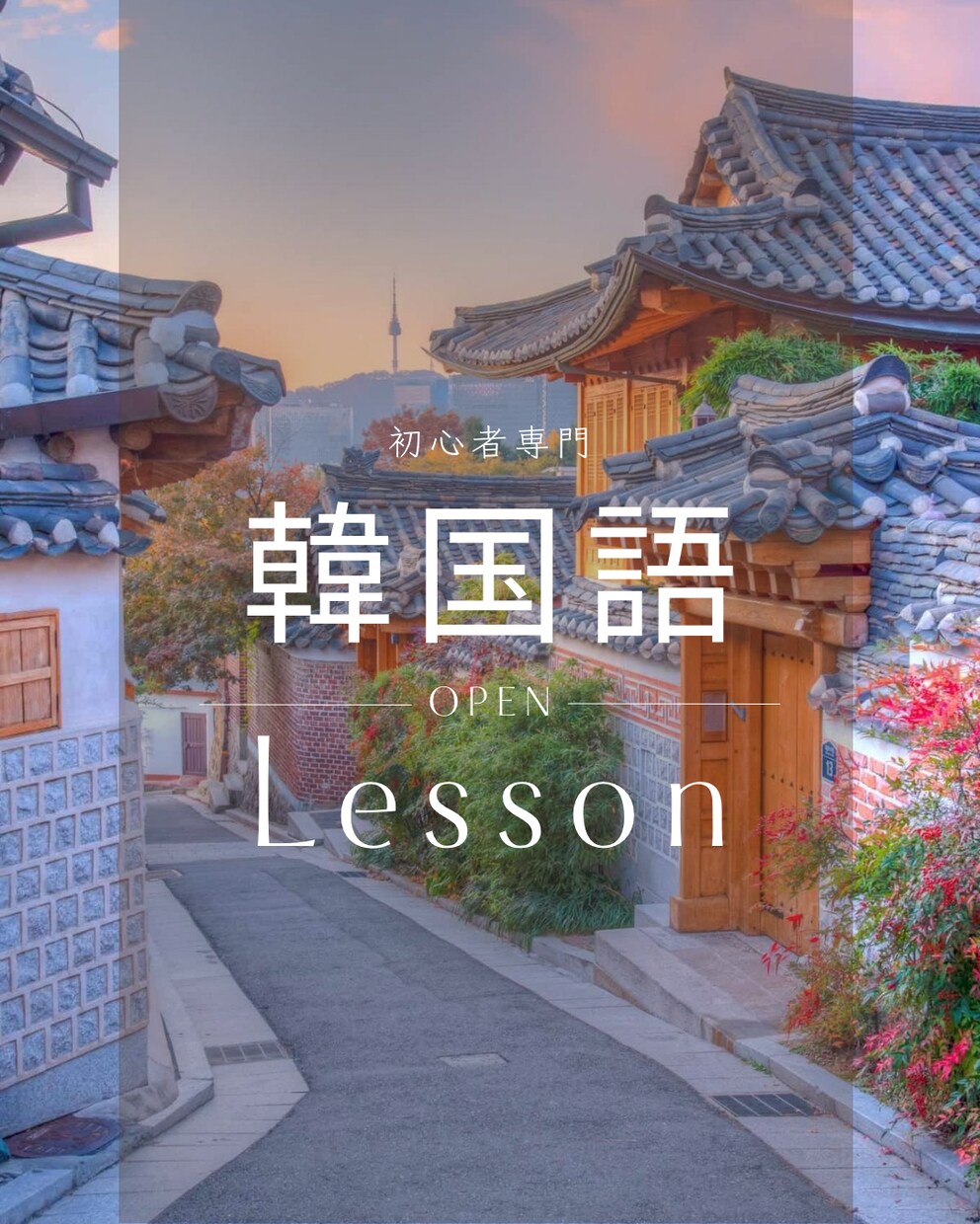初心者専門！韓国語レッスンいたします 初心者さん専用・やさしい韓国語レッスン イメージ1