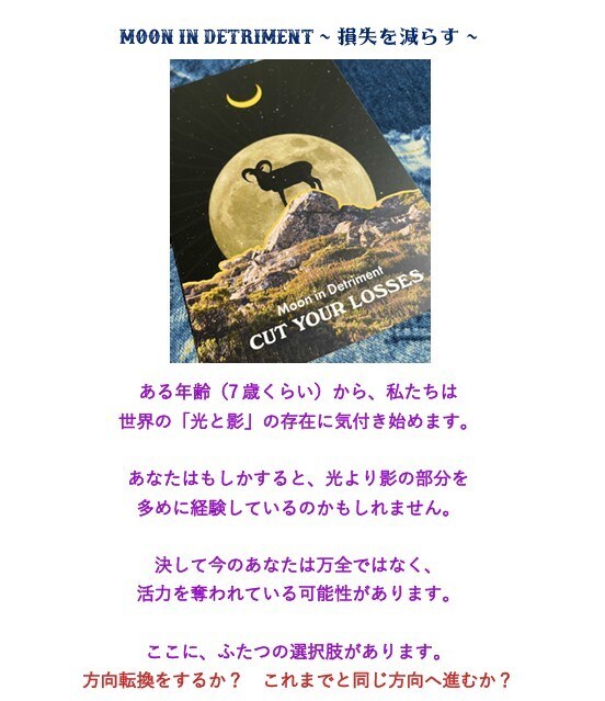 動画で納品!既存メニューを動画鑑定で納品します あなただけの動画鑑定!まるであなた専用のYouTube! イメージ5