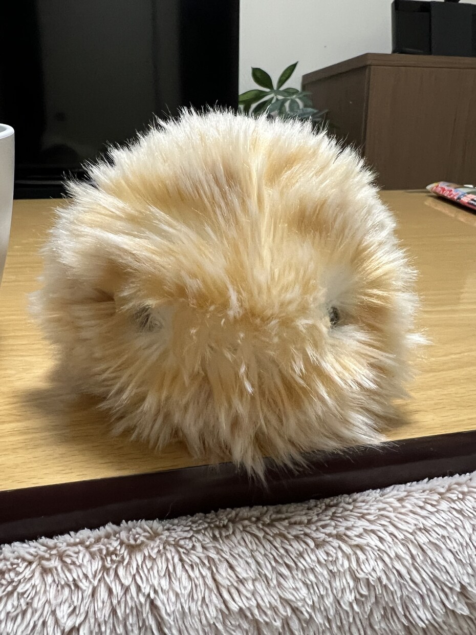 何でも聞きます 一人で抱え込まないで。ちょっとお話ししよう！ イメージ1