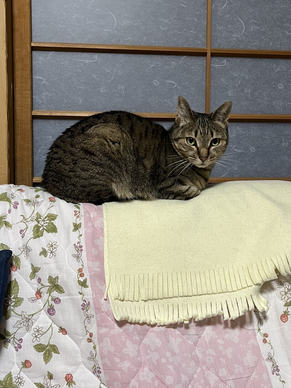 過去に病院に行くほど鬱になっています 今辛いひと、苦しい人、いつでも相談してください。 イメージ8