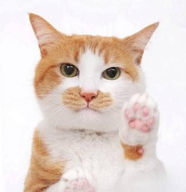 不登校の方、不登校になりそうな方の相談乗ります 〜経験者が懇切丁寧にサポート〜 イメージ1