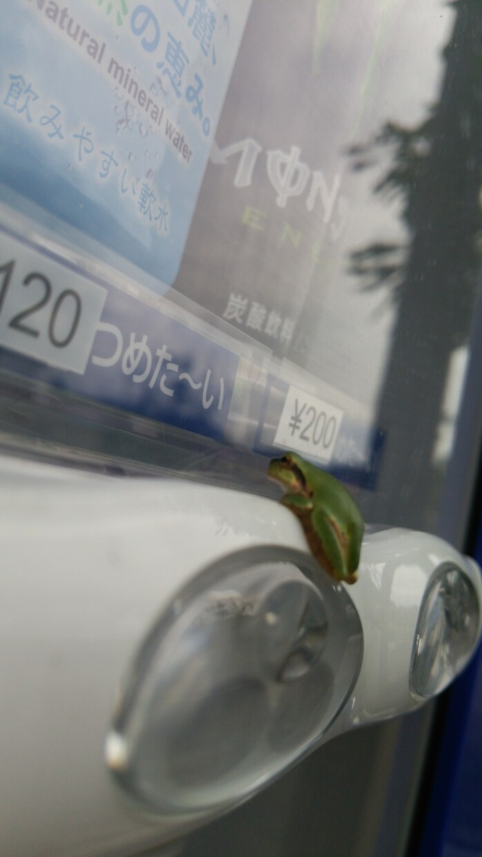 お話(*´ω｀*)聞きます 話したい時にそっと寄り添います 心を、軽くしましょう♪ イメージ1