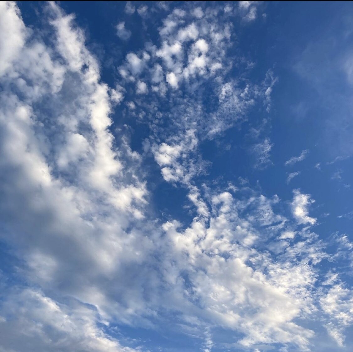 色々な空の写真を提供します 爽やかな空の写真が欲しい人はこちらに連絡ください イメージ6