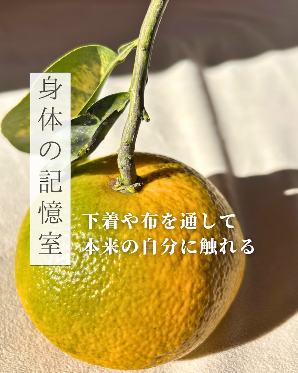 身体の声の記憶に触れるワークショップをします 超個人的アートWS「布と身体の記憶室」 下着が語る人生の物語 イメージ1