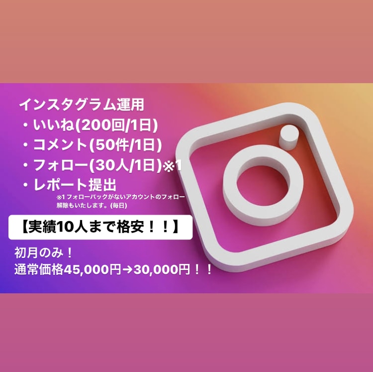 INSTAGRAM運用のプロが代行いたします 今や必要不可欠なSNSマーケティングはプロにお任せ イメージ1