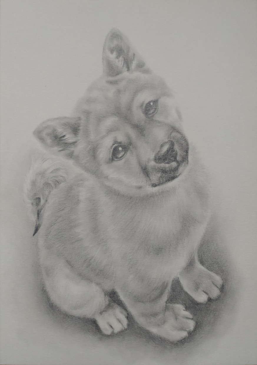 ペットの似顔絵を鉛筆で描きます 大好きなペットとの思い出を鉛筆画にしてみませんか？ イメージ8