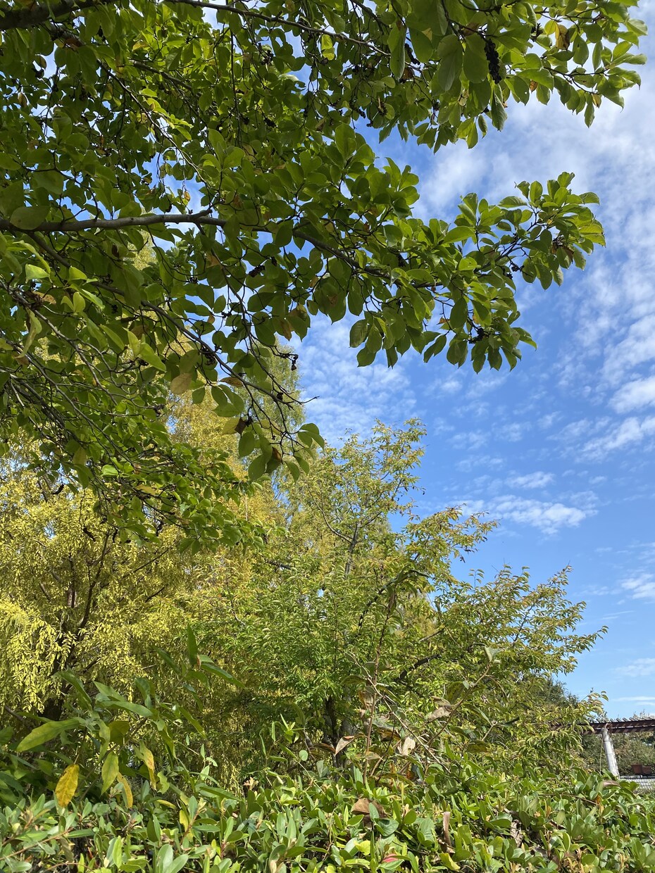 秘密厳守✨批判も拒絶もなしで優しくお聞き致します 心理学を学んでいる私と1分でも話してみませんか✨ イメージ2