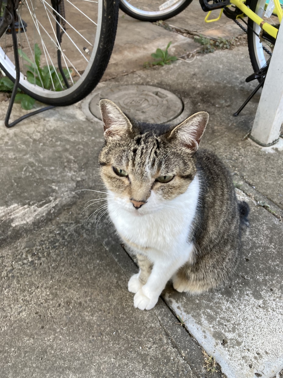 あなたの生きがいや目標を探します 本当のゴールを見つけてモチベーションを上げましょう！ イメージ1