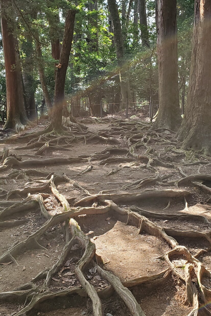 占い師・ライトワーカーなど同業者様☆相談に乗ります 練習相手、仕事の悩み、分かち合いたい話など何でもOK☆ イメージ8