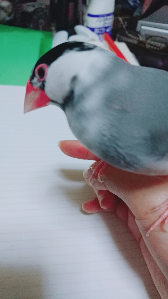 オラクルカードでアドバイスをさしあげます 現状から未来を見たい方向けです。もやもやしてたら引いてみて イメージ2