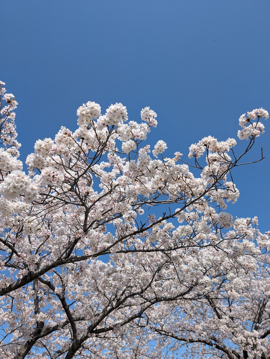 貴方のお話を聴かせて下さい。側におります お仕事で不安なこと等、お話聴かせてください。 イメージ1