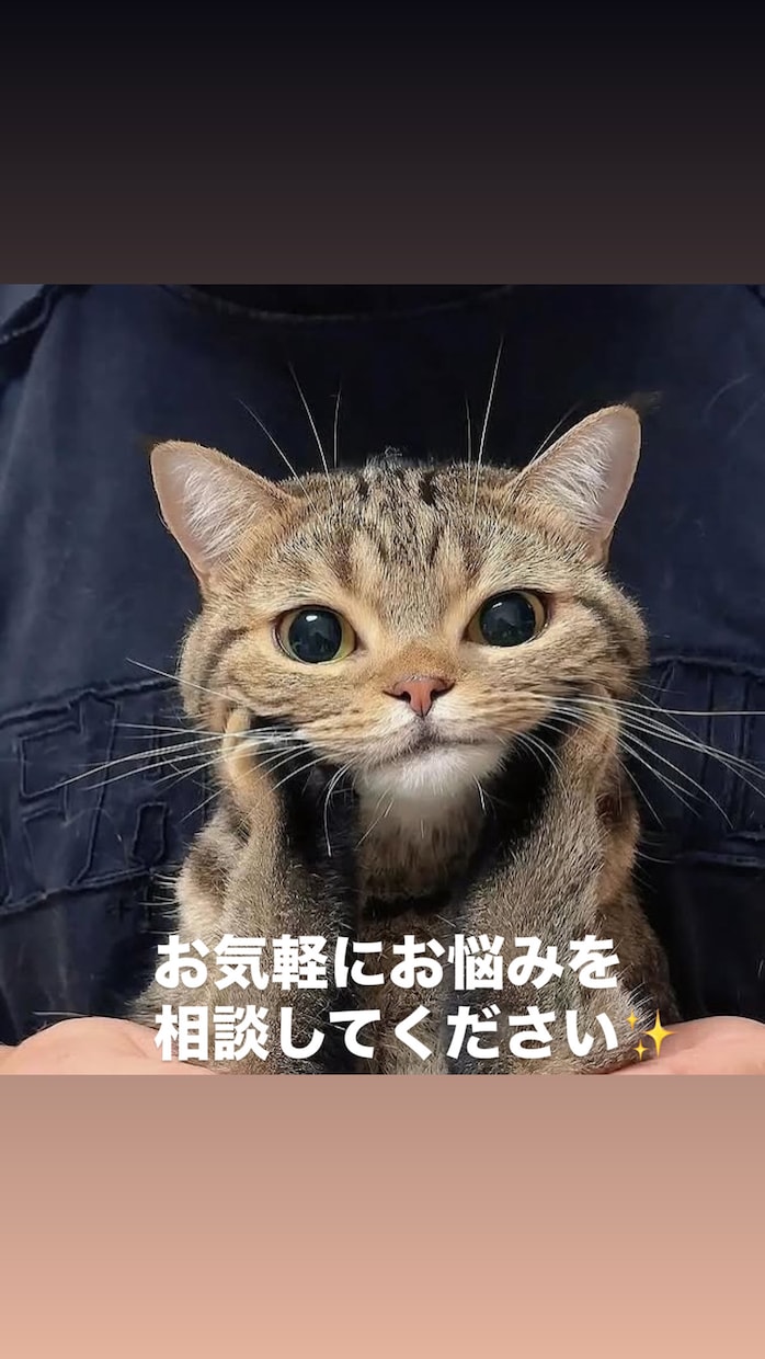 介護、美容、健康等に対してお話お聞きします 介護事業とエステ事業経営と走り方教室などもしております。 イメージ1