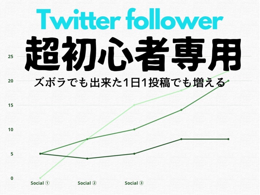 超【初心者専用】★フォロワー★増加方法おしえます Twitterフォロワー増加のアドバイス イメージ1