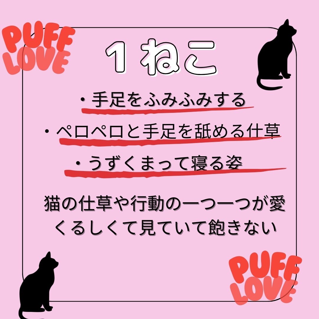 動物好き必見！！のデザインを提供致します 動物の特徴や習性を短く簡潔にまとめました イメージ3