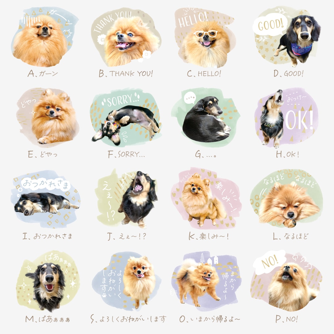 水彩絵具風・ペットのLINEスタンプ制作します 簡単！お写真を送るだけで作れる！8個〜16個制作します イメージ2