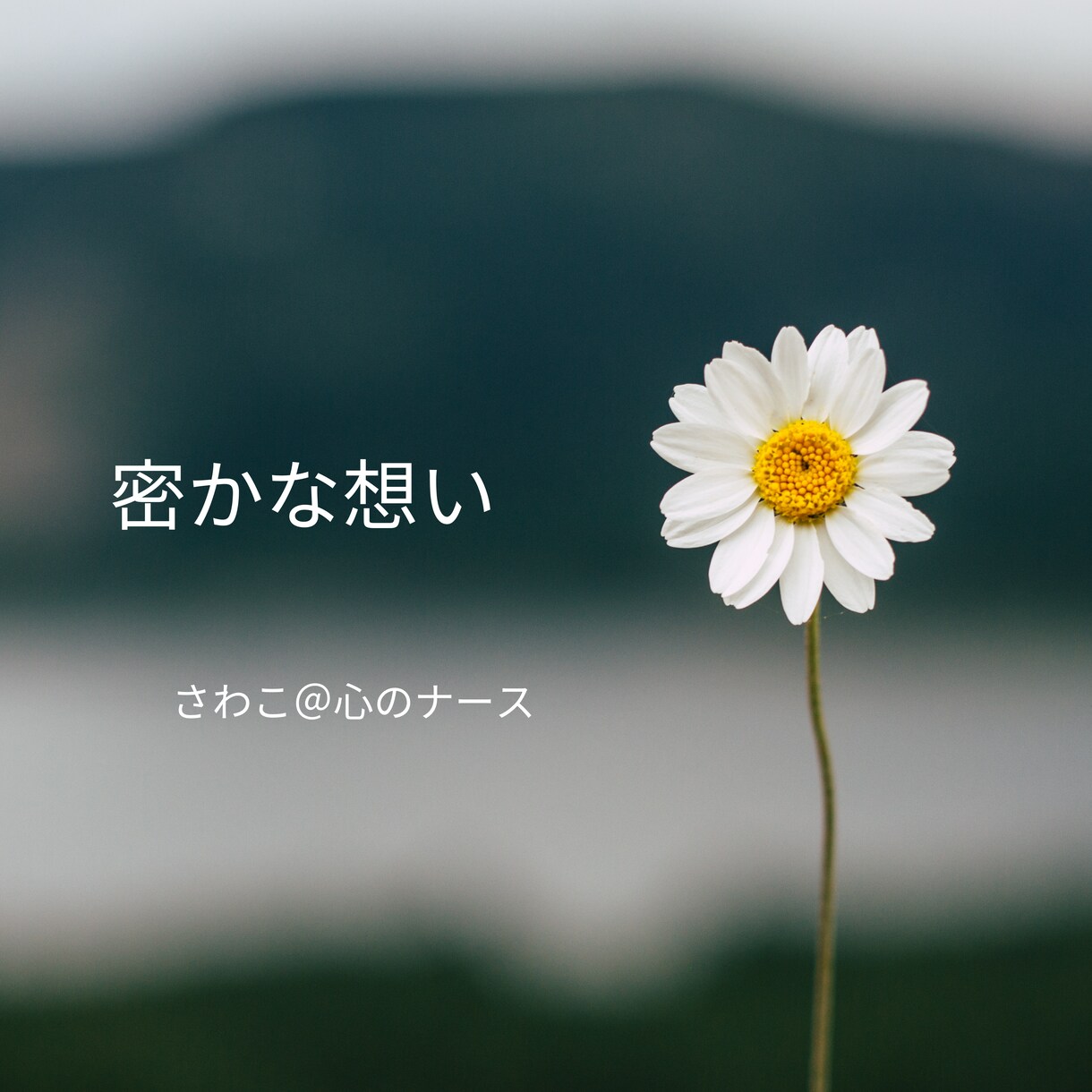 ５分でもだいじょうぶ♪お話お聴きします ちょっとだけでも話しましょう♪ 元気処方をお電話で。 イメージ10