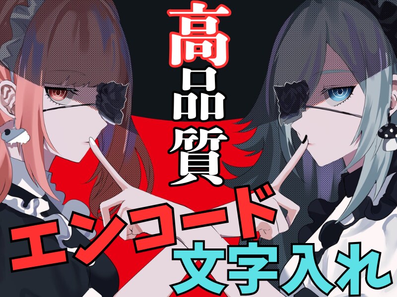 高音質×高画質で即納可プロ仕様エンコード承ります プロ仕様×最短当日納品対応OK！！ イメージ1