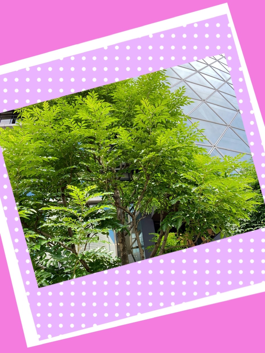 お試し１分今からすぐにお話しします ✨時間がないけど愚痴りたい時に！！少しの時間にどうですか？？ イメージ2