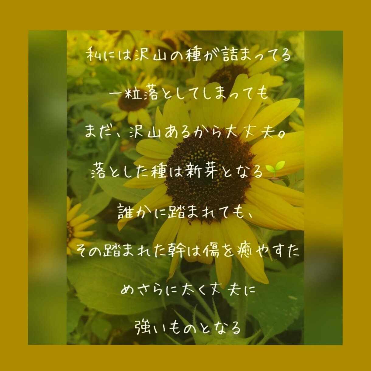 赦せない、その気持ちが自分を縛ってます 赦せない事、それは相手より自分を傷つけている イメージ4