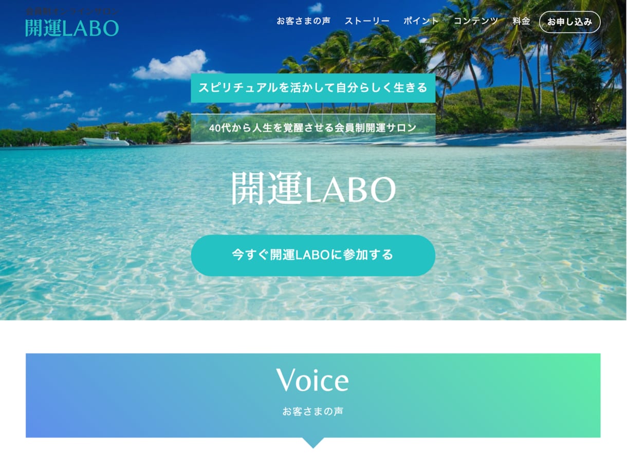 実績300件！20年のプロが高品質HPを作ります 20年のWeb業界経験からビジネス効果のでるサイトを作成 イメージ3