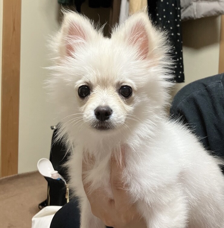 女性限定　恋愛相談を受け付けます ここでは主に恋愛相談を致します。他のお話しもお気軽に。♪ イメージ4