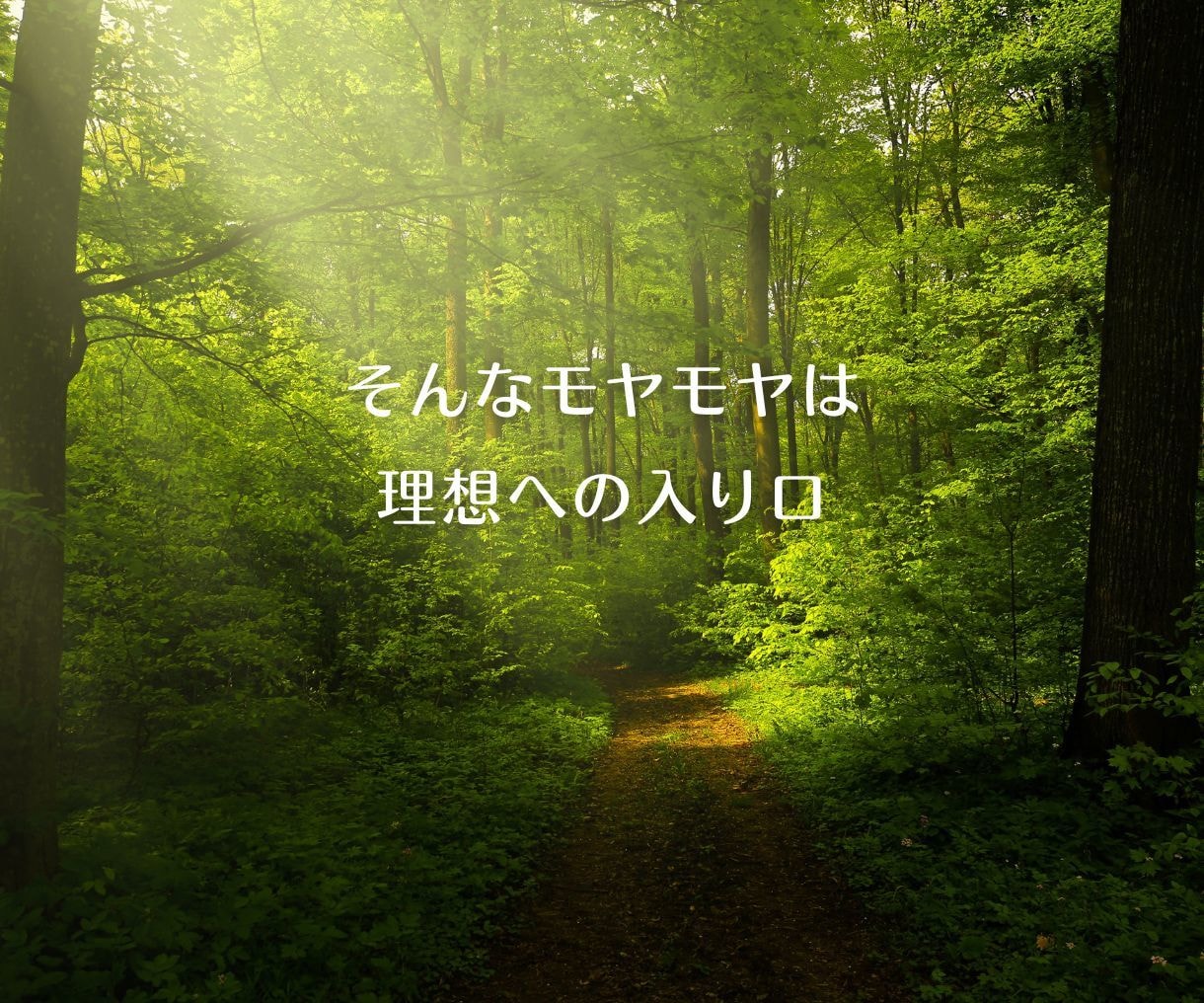 先生、理想の先生像をタロットでクリエイトします 話して、手放して、なりたい先生・自分を再設定します イメージ5