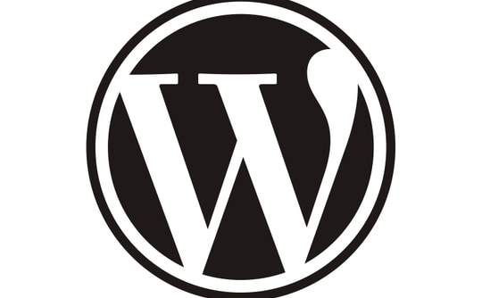 WordPressについての相談・トラブル解決をお手伝いします イメージ1