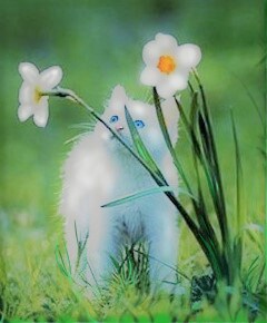 愛猫ちゃんの似顔絵・肖像画を描かせて頂きます 心を込めて丁寧に、ご家族の一員の猫ちゃんを描かせて頂きます。 イメージ4