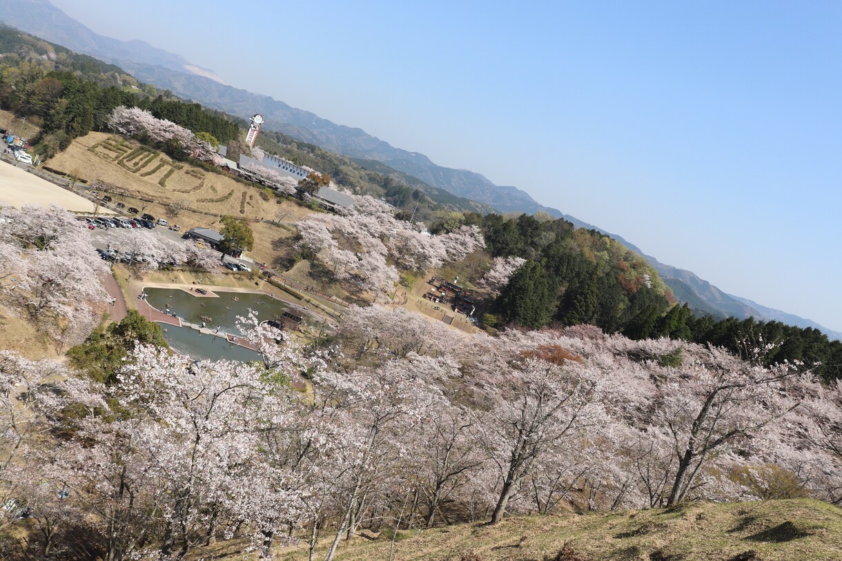 暇な時、寂しい時、嬉しい時話し相手になります 恋愛相談や、会社の愚痴、なんでも聞きます( *´•ω• イメージ1