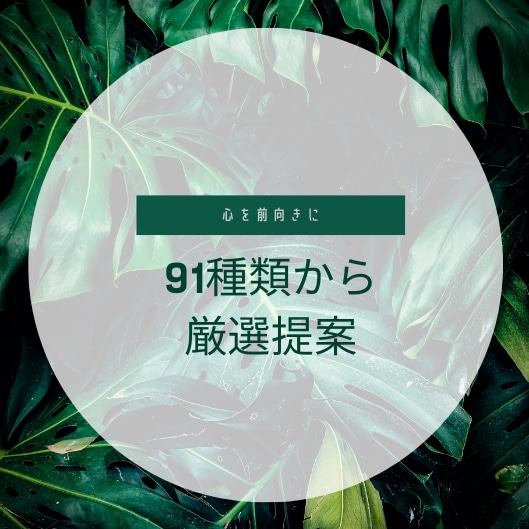 91種類の中からぴったりを厳選提案します 0.2秒で心を前向きにする！あなただけのアロマとハーブ イメージ1