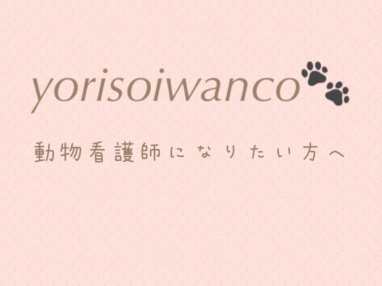 愛玩動物看護師になるための相談に乗ります これから愛玩動物看護師になりたい方の応援チャット♪ イメージ1
