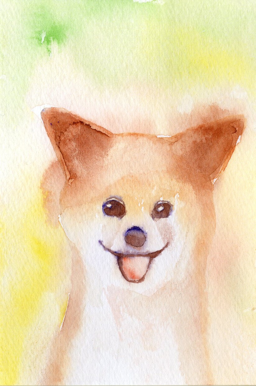 可愛いウチの子を描きます 5000円で額縁に入れて飾ることができます。 イメージ4