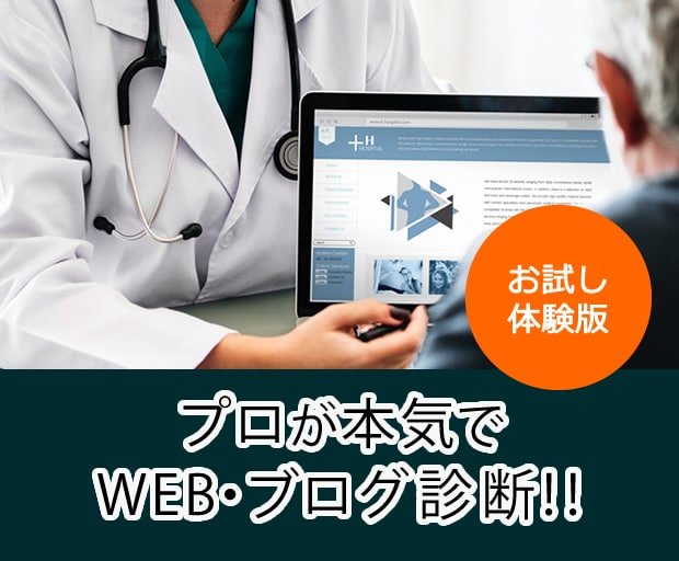 お試し体験版★プロが本気でサイト診断します WEBコンサルタントがあなたのWEB・ブログ診断を行います。 イメージ1