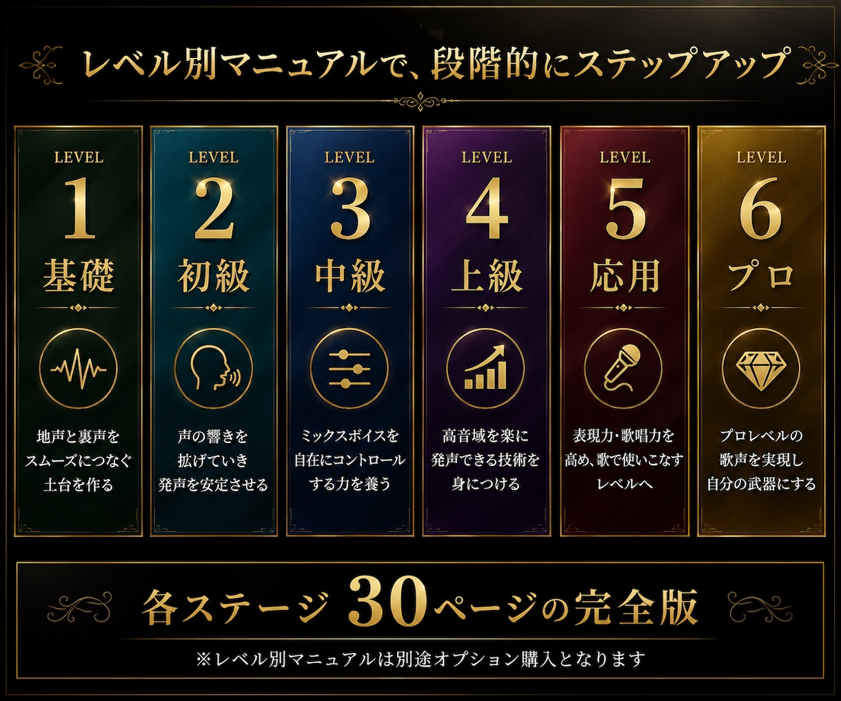 発声特訓！読んで実践！ミックスボイス習得させます プロがミックスボイスを習得に必要な知識を解説した資料を提案！ イメージ2