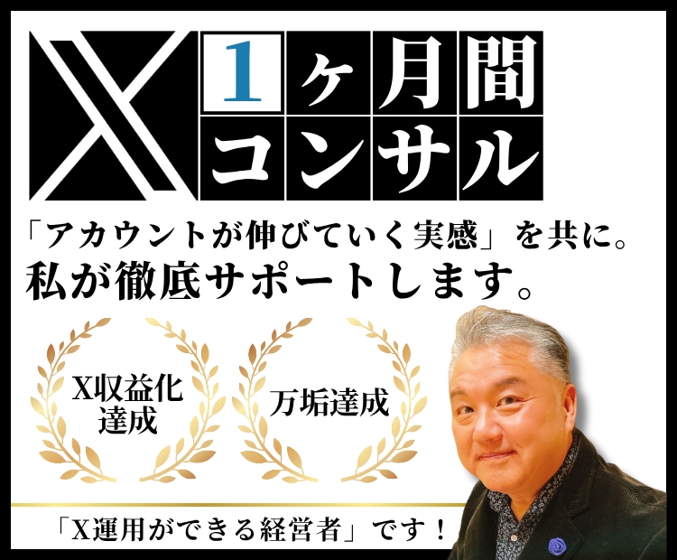 1ヶ月間、X（Twitter）運用コンサルします X運用にもっと力を入れたい方、1ヶ月間徹底サポートします。 イメージ1
