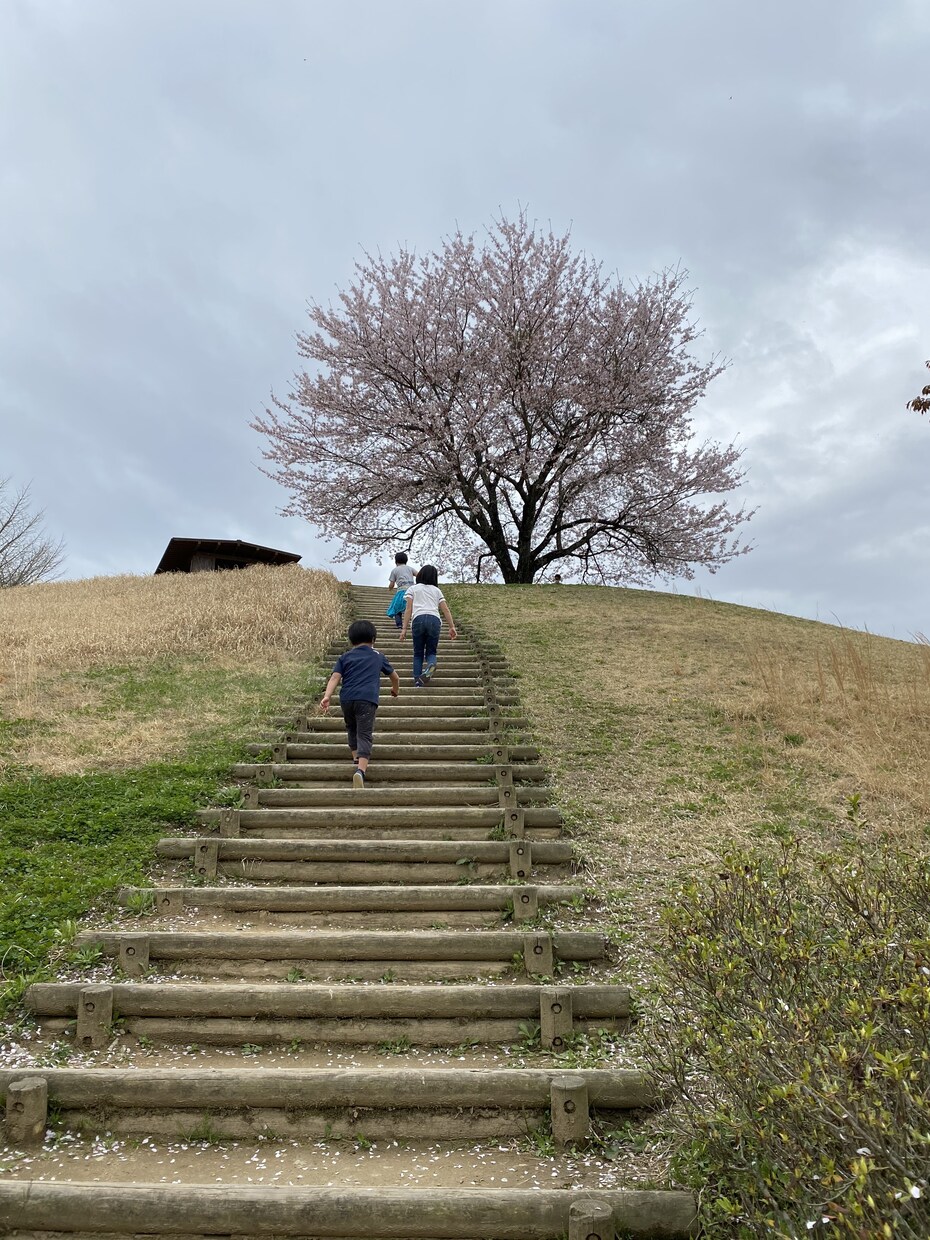 あの人許せない！そんな気持ち受け止めます 嫁姑・夫の無理解など周りに理解されない悩みに寄り添い支えます イメージ6