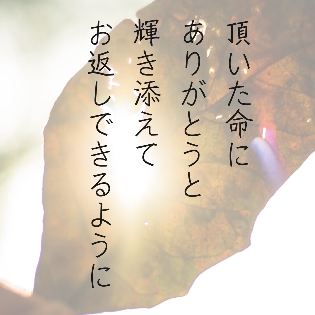 不安に思うことお聞かせ下さい♥️安心感で包みます 今すぐ安心補給/癒し/安心/優しさ/短時間から/不安解消 イメージ2
