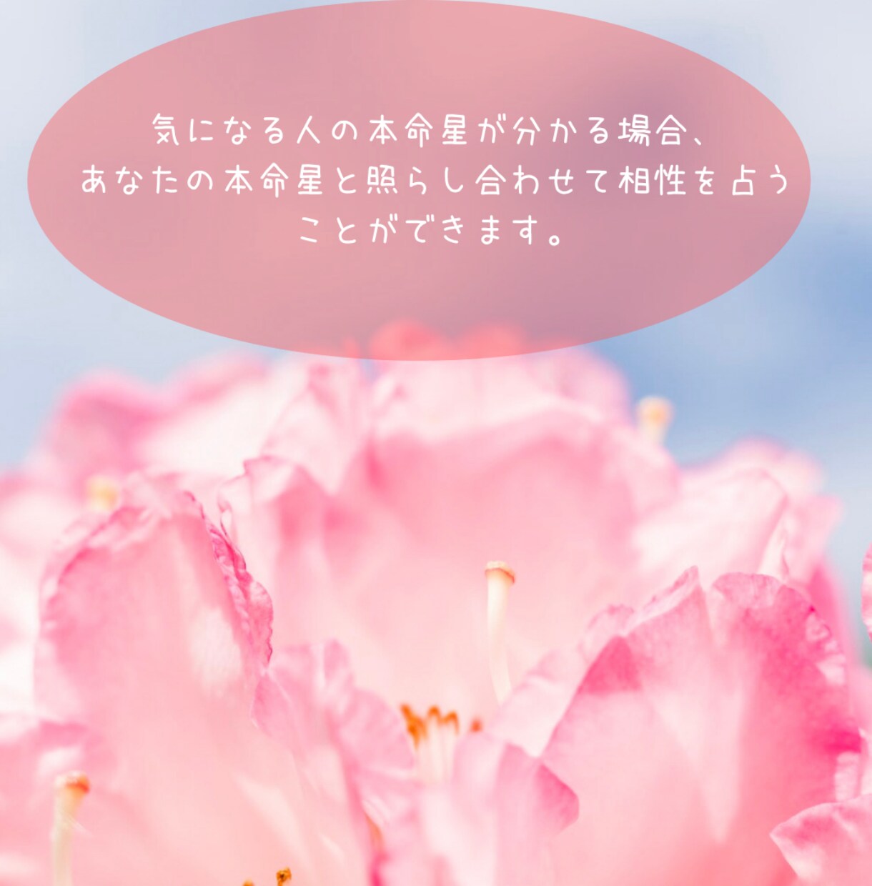 気になるお相手の性格・相性、優しくおつたえします やさしい鑑定師が、あなたにそっと寄り添います イメージ8