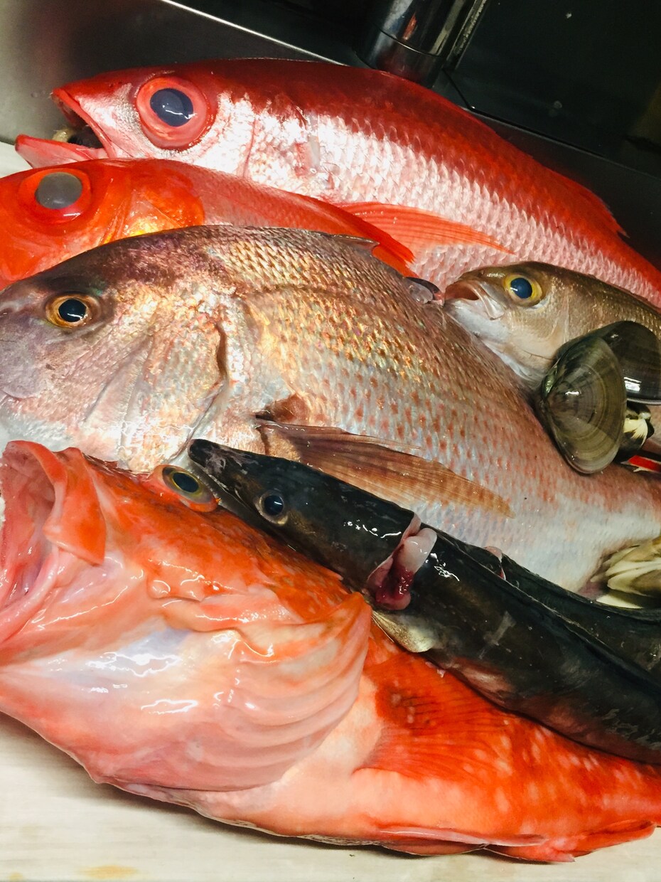 魚を上手に捌けるようになりたい方にご教授します リアルタイムでのレッスンになるのでその都度ご質問にお答え可能 イメージ1