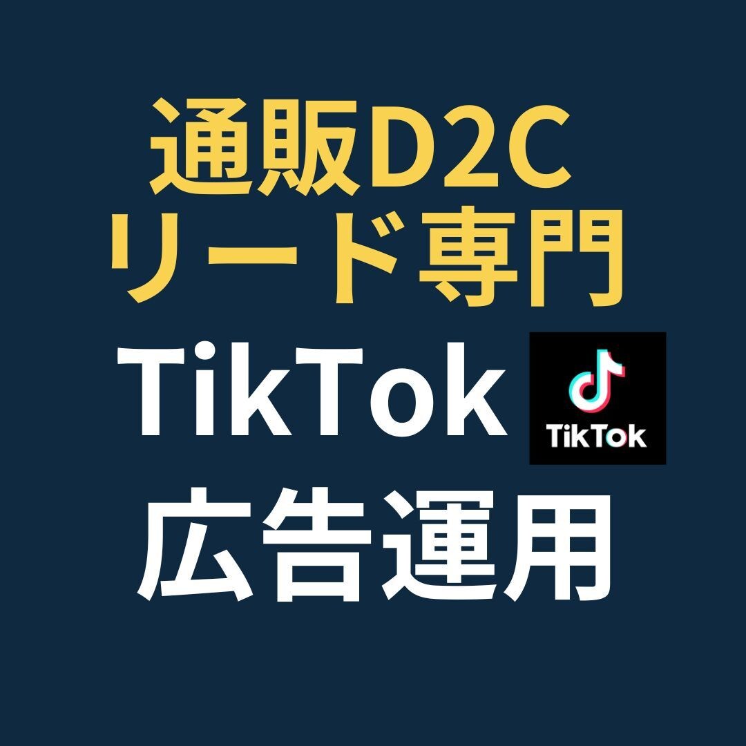 通販・リード専門！TikTok広告運用します 【実績50社超】目標CPA1/2・CV数250%成長！ イメージ1