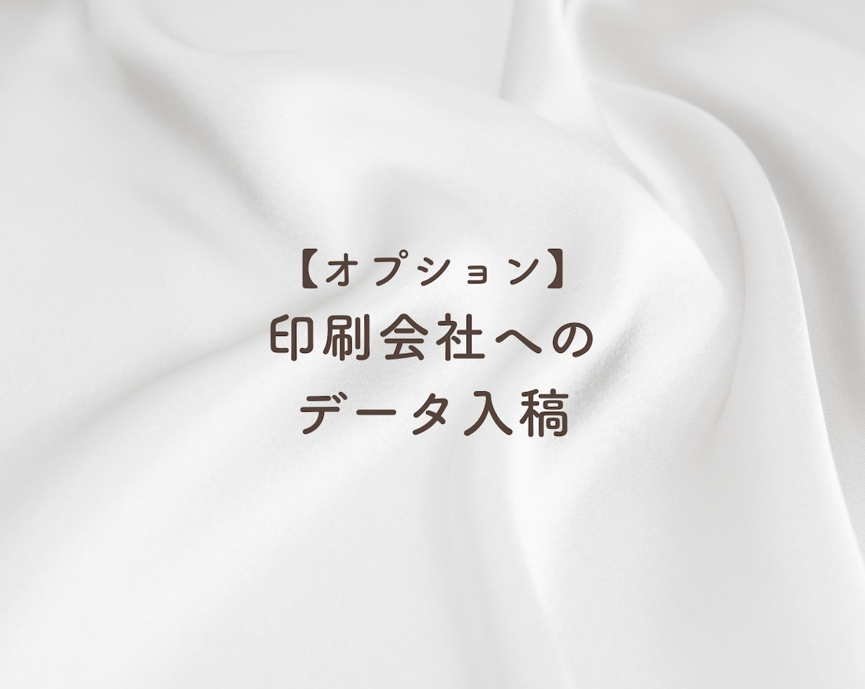 データ入稿代行を行います 【こちらはオプション商品です】 イメージ1