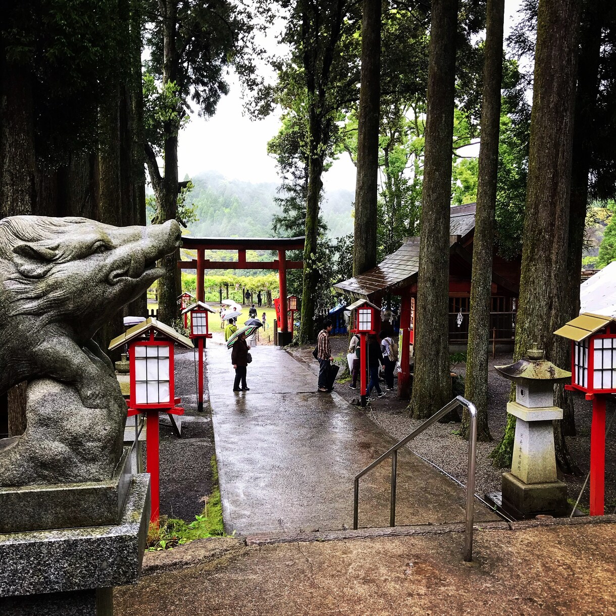 お好みの写真を提供します 高画質で美しい風景の写真をあなたに。 イメージ7