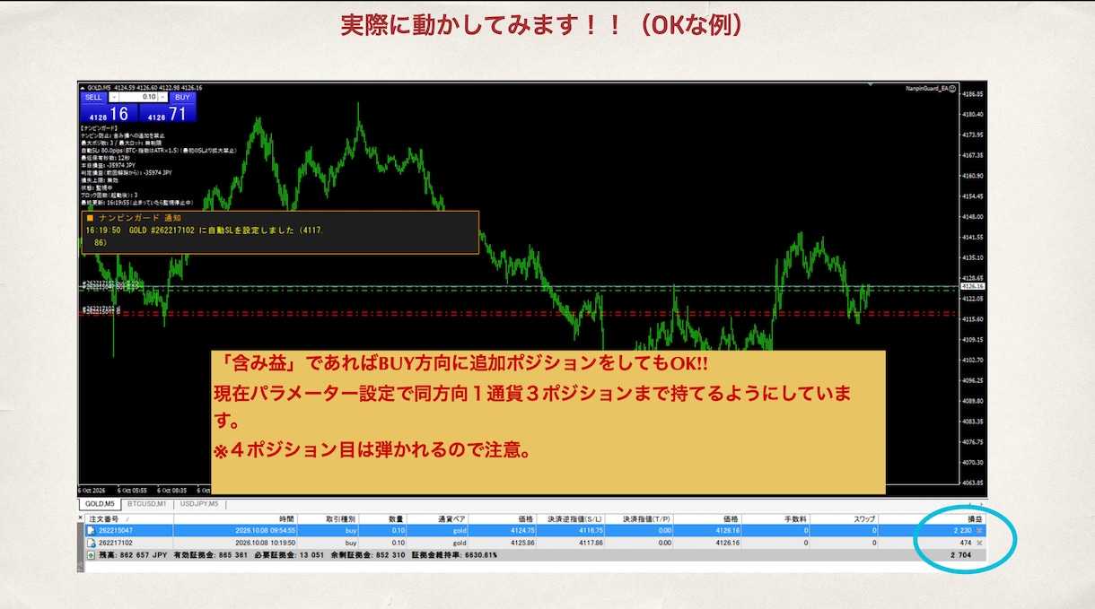 ナンピンで溶かし続ける貴方にFXの命綱を渡します 強制であり矯正　ナンピン癖とサヨナラしたい方へ イメージ6