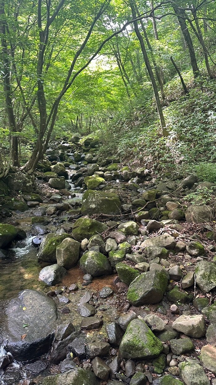 読みたい本を代わりに読み、抜粋し要約します あなたが求めているものだけを抜粋します イメージ1