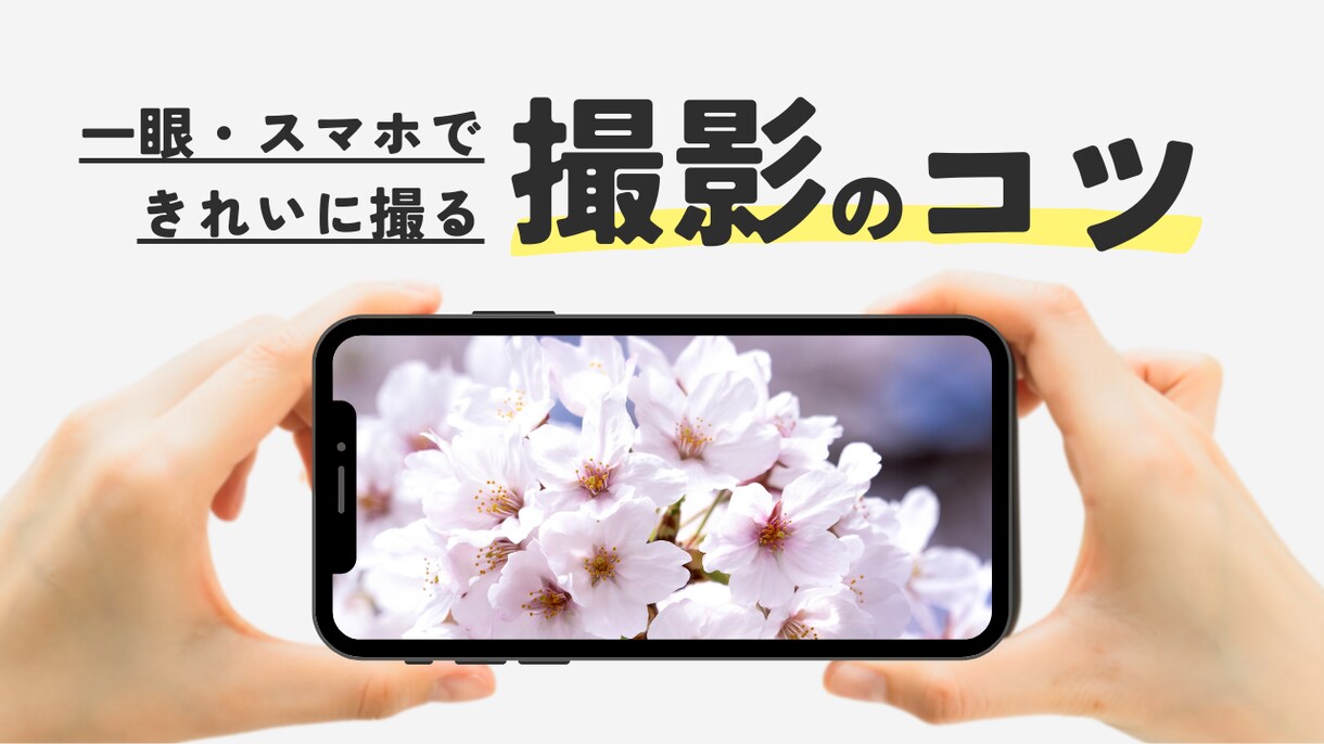 写真×悩み相談“あなたらしさ”を言葉と写真でします 何を発信していいのか？プロフィール写真が自信ない方へ イメージ1